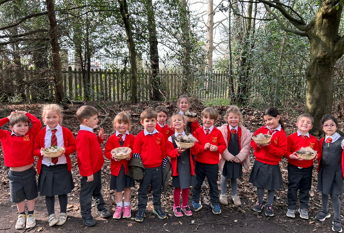Collecting leaves to make nests