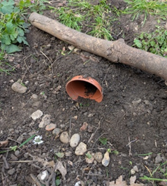 Year 1 Easter Garden