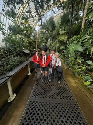 Some unbe-leaf-able plants