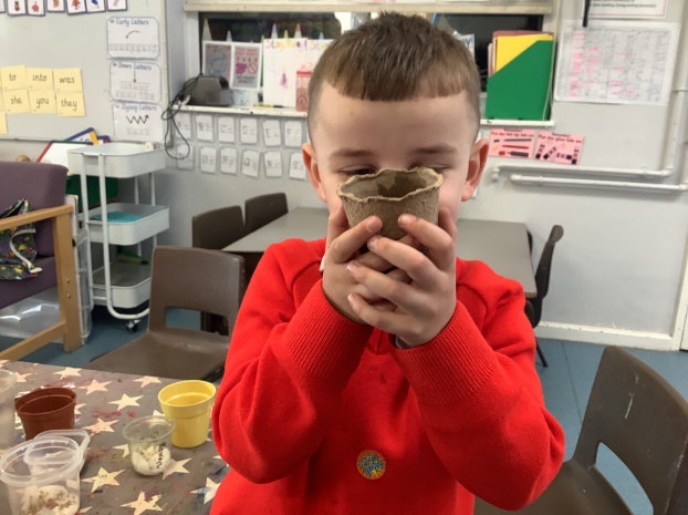 Then we observed how the seeds grew over the weekend.