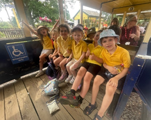 Safari train ride