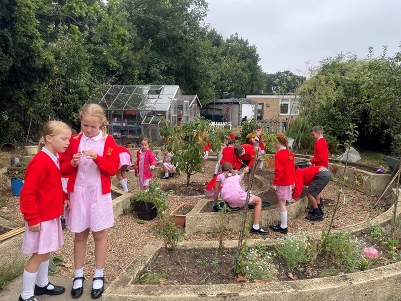 Year 5B gardening getting the beds ready with top soil