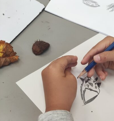 Year 1's Art and Design mark making picture 2