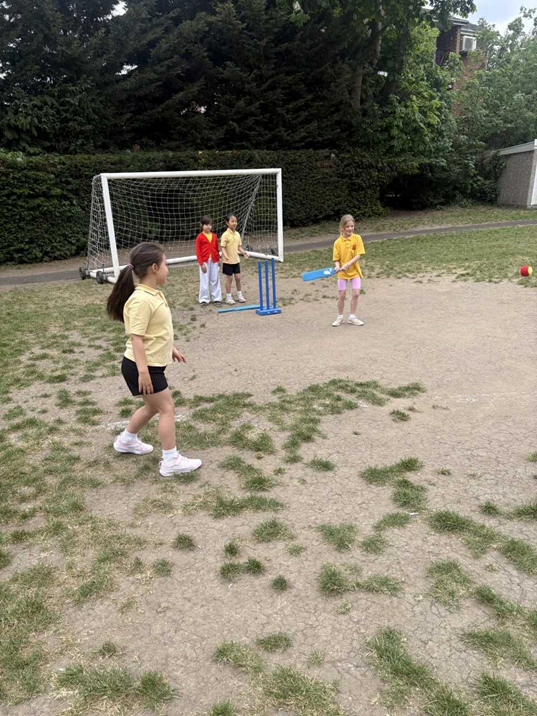 Cricket