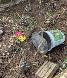 Year 1 Easter Garden