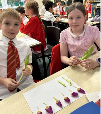 Two children smiling together after dissecting a tulip.