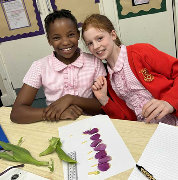 Two girls smiling together after dissecting a tulip.