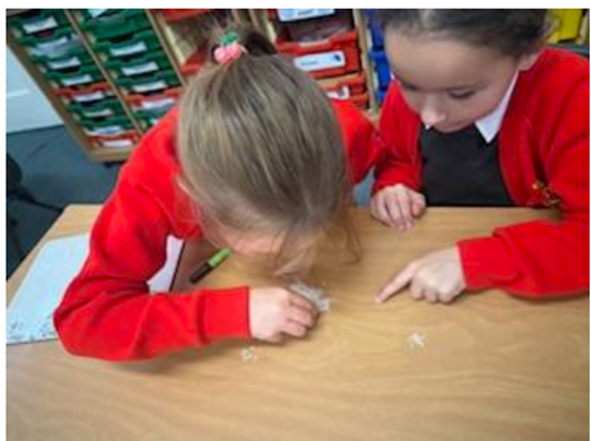 Year 2 counting rice