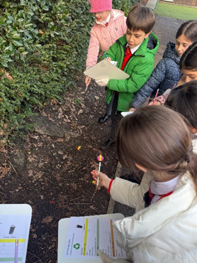 Children outside pointing at an orange peel and logging what they have found on their data sheet. 