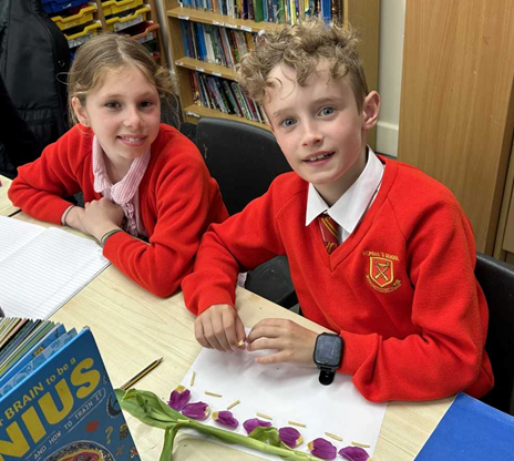 Two children smiling together after dissecting a tulip.