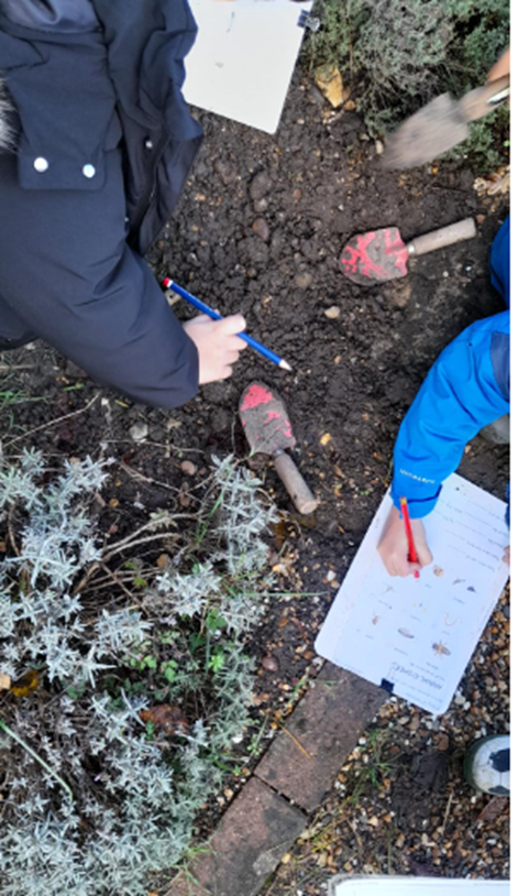 Year 1's Science Investigation - Group