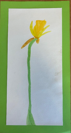KS1 1st place spring flower painting of a daffodill