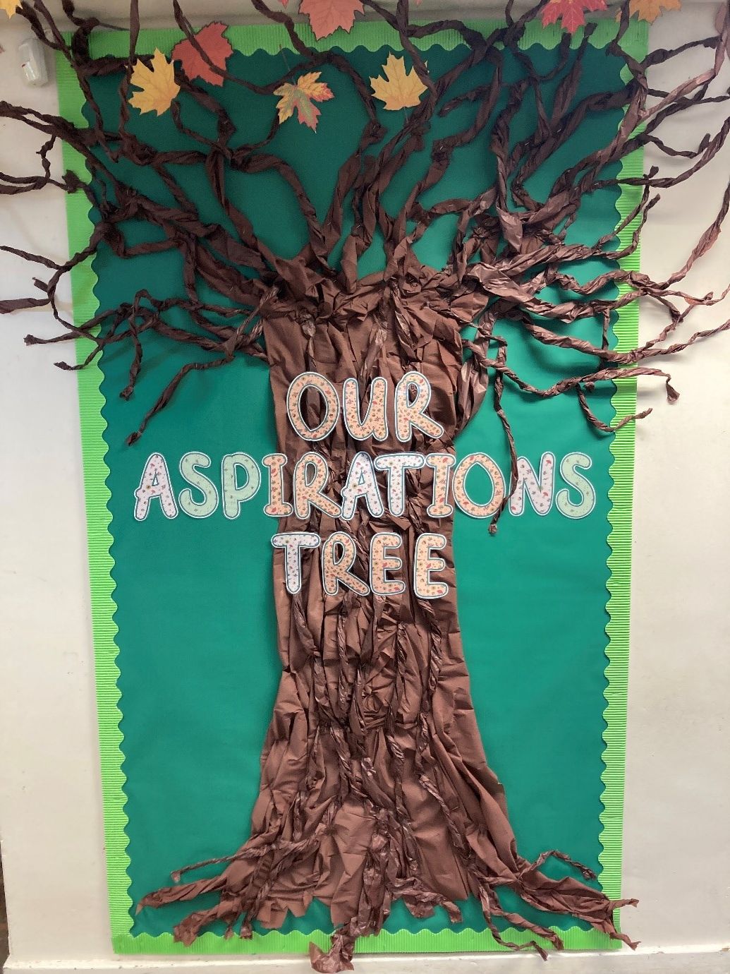 Year 5's Aspiration Tree