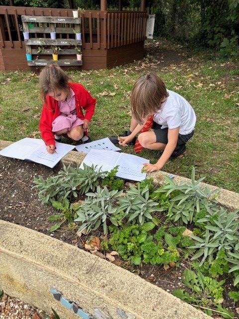 Year 2 exploring their local habitat picture 1