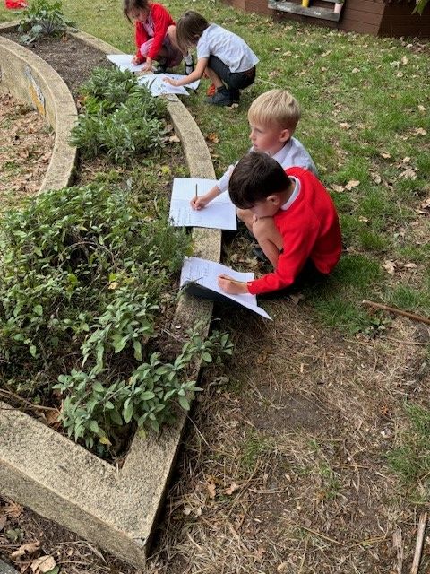 Year 2 exploring their local habitat picture 2