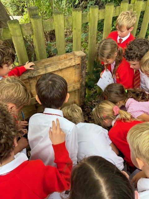 Year 2 exploring their local habitat picture 3