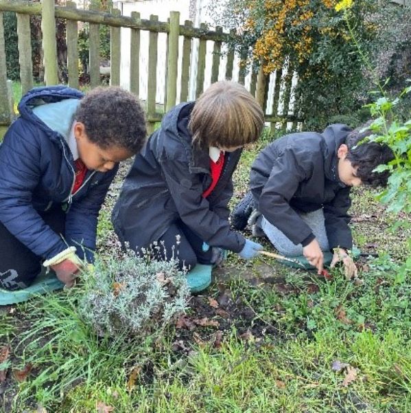 TreePlanting3