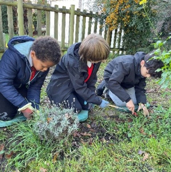 TreePlanting3