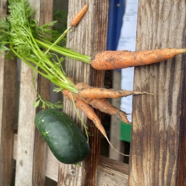 Ediblegardenvegetablesgrownphoto2